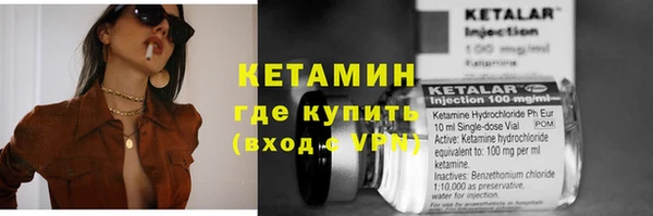 тгк Новозыбков