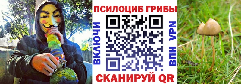 наркотики  Белебей  Галлюциногенные грибы Psilocybine cubensis 